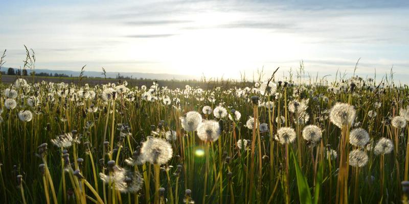 揭秘河南天科机械螺旋洗砂机:叶片结构革新、智能磨损补偿与细砂回收一体化方案