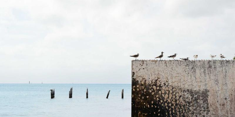 河南天科机械：揭秘核心轴承选型黄金法则与极端工况长效润滑方案