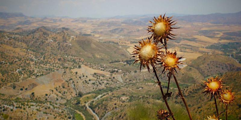 硬岩破碎的精密艺术：解析河南天科机械圆锥破碎机如何以卓越性能重塑生产效率